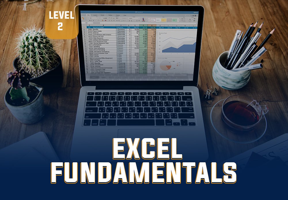 professional Excel course from scratch to professionalism